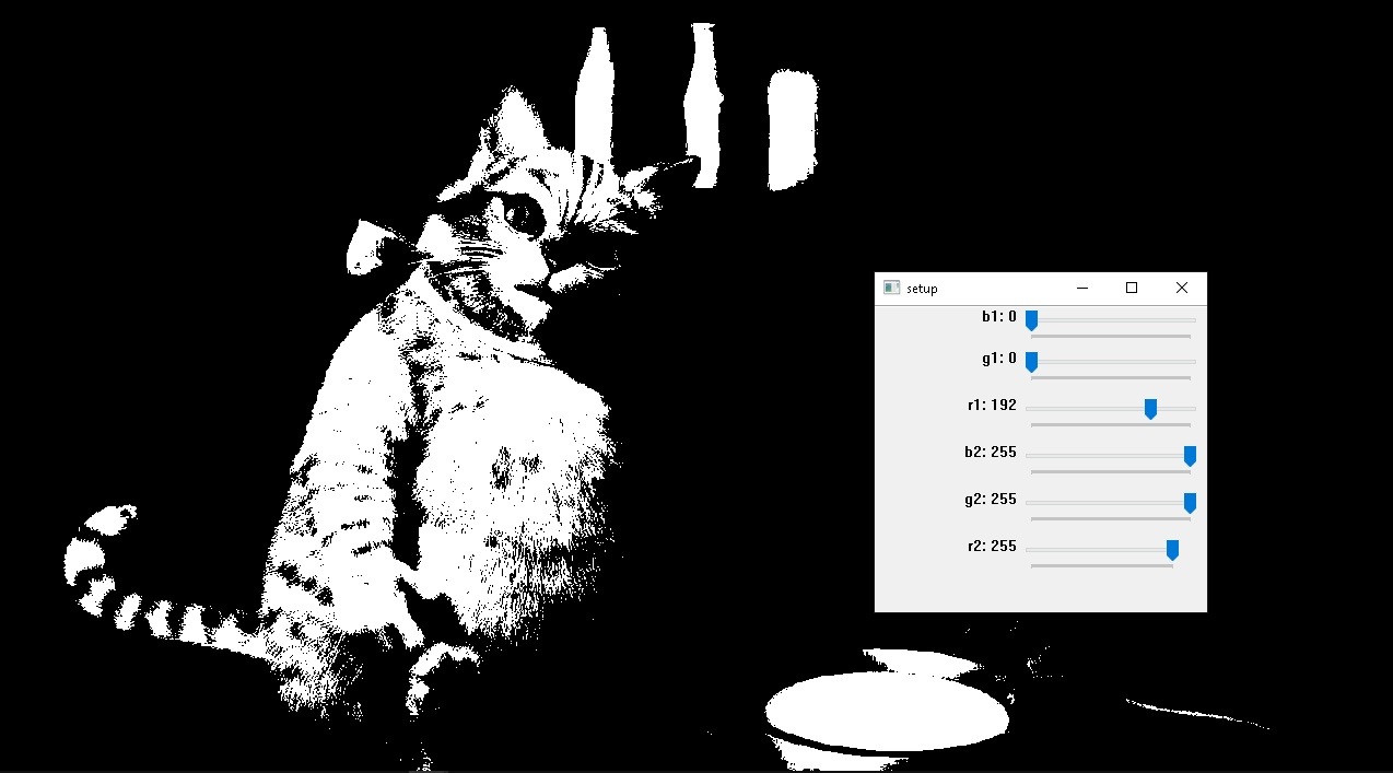 Изображение кота с фильтрацией